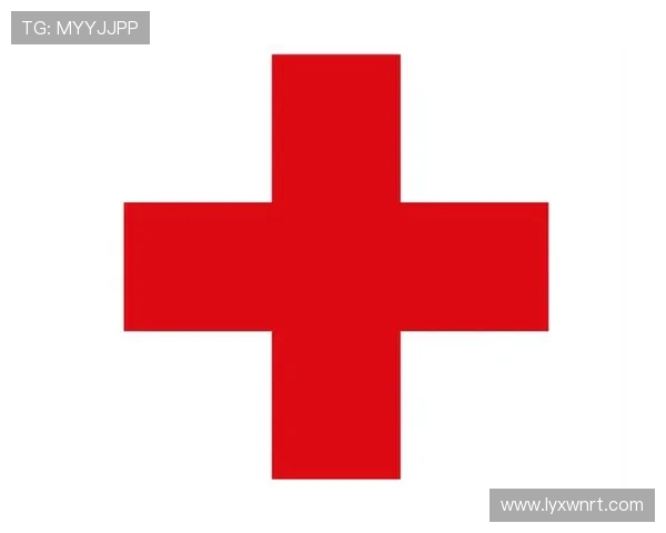 瑞士球迷展示红十字标志表达国家认同